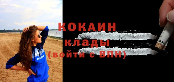 сатива Горняк