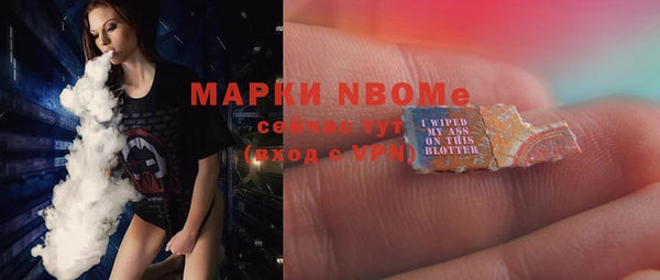 сатива Горняк