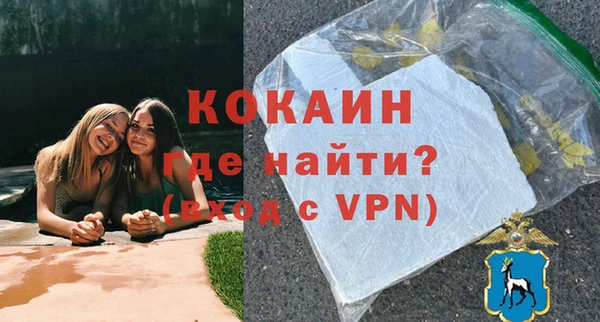 сатива Горняк