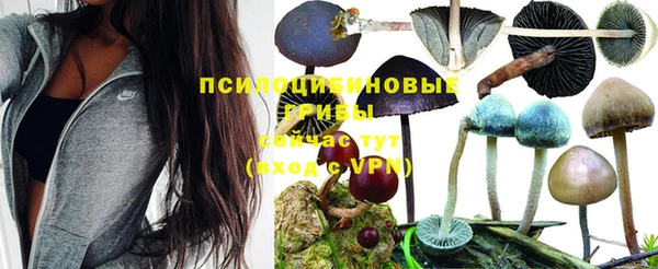 таблы Горнозаводск