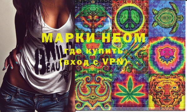 сатива Горняк