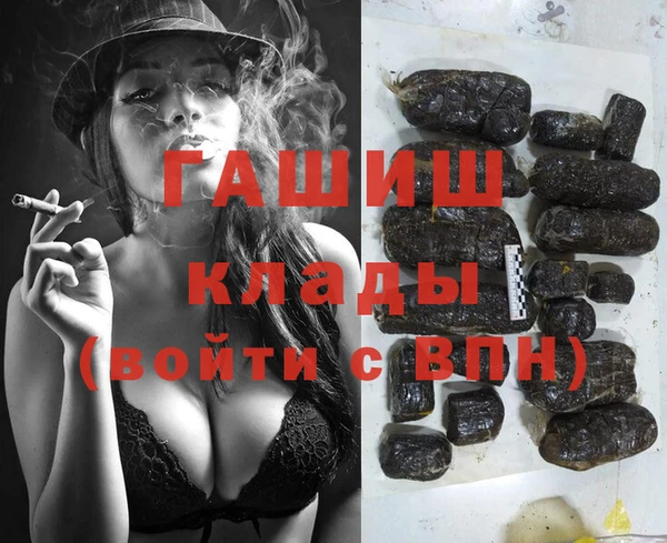 сатива Горняк